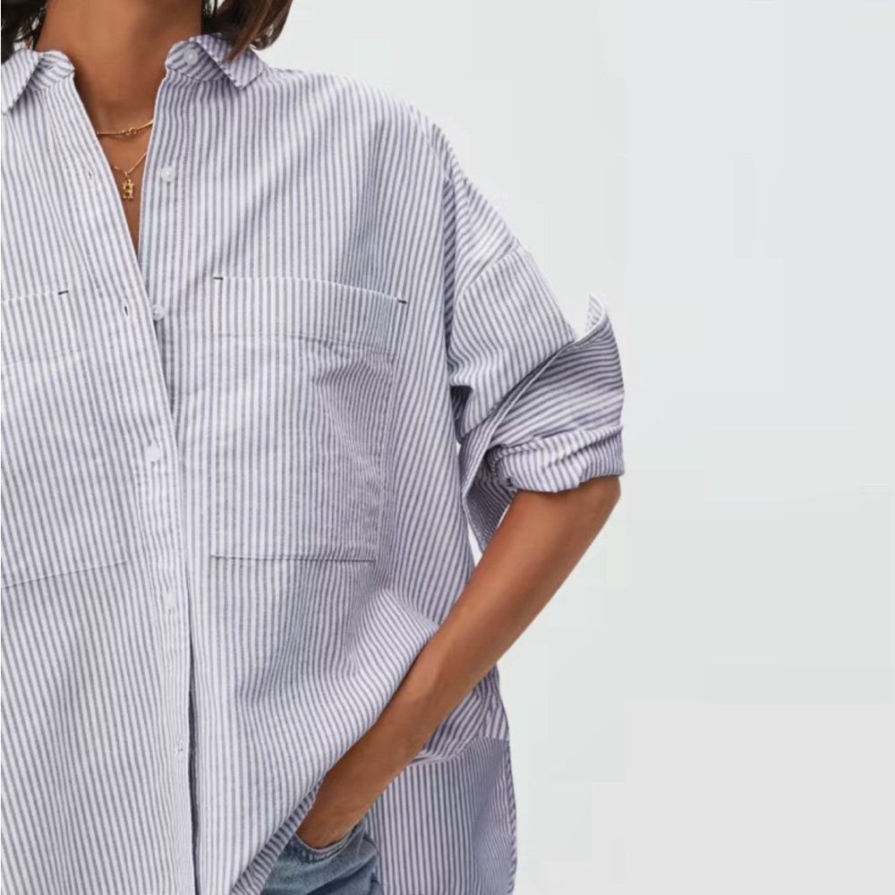 The Boxy Oxford Everlane Shirt